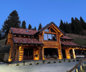 Casa Di Giorgio Borşa